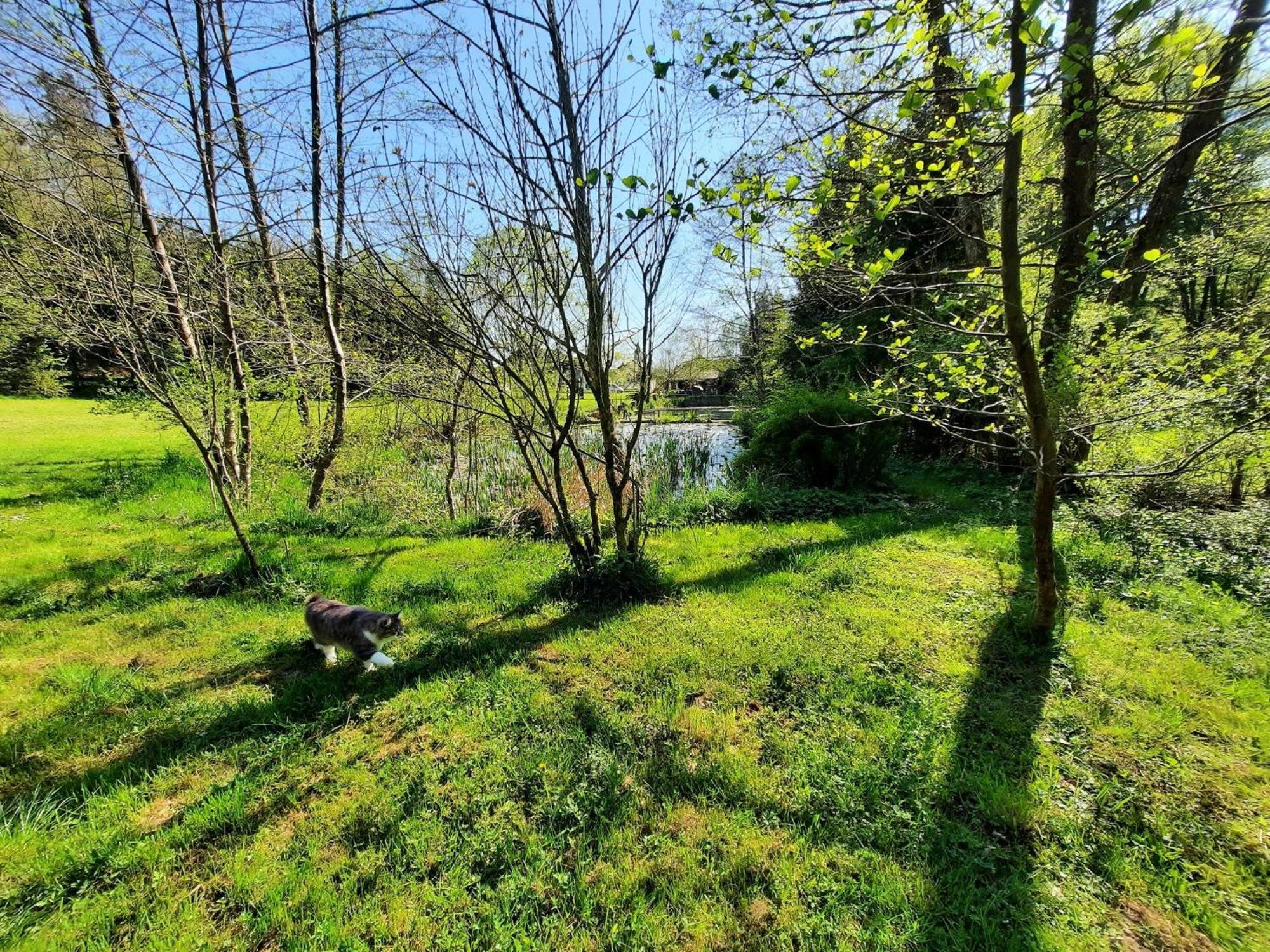 Apartment Alpipond Kamnik Buitenkant foto
